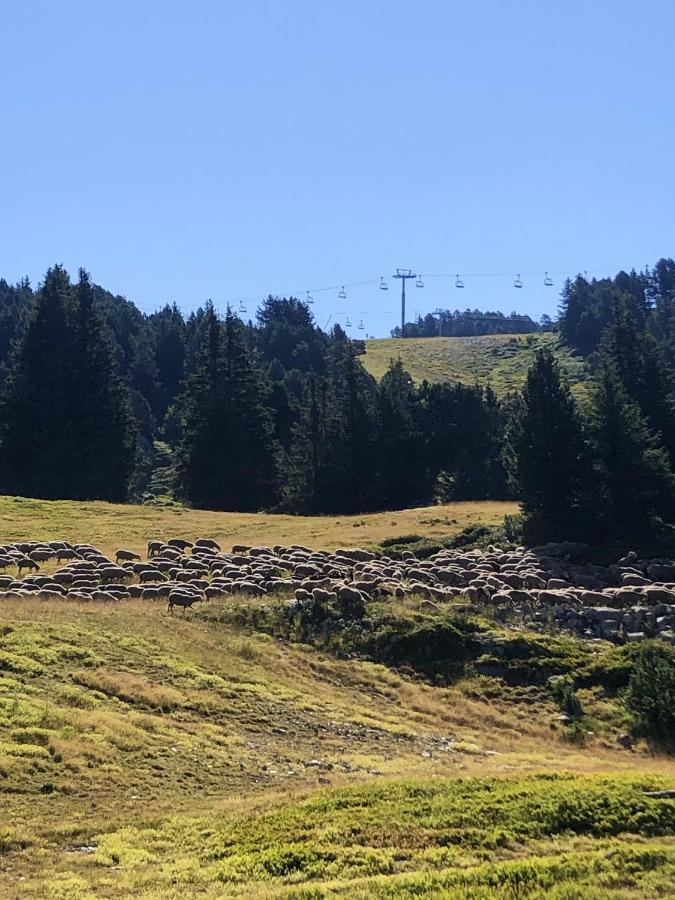 Appartement Cosy A Chamrousse Avec Vue Sur Montagne + 34M² Bagian luar foto